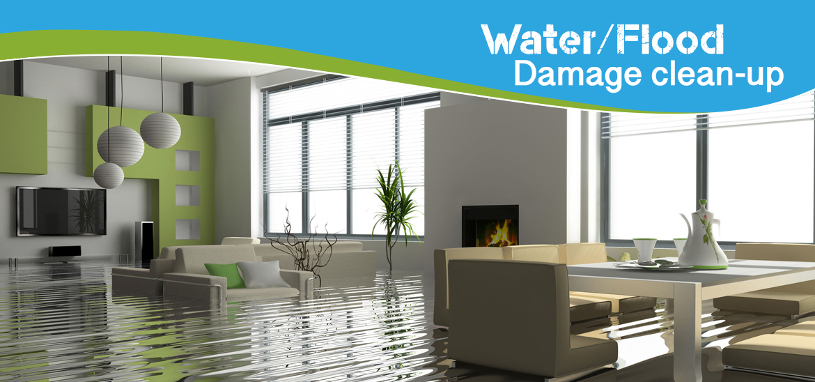 WATER DAMAGE SERVICES